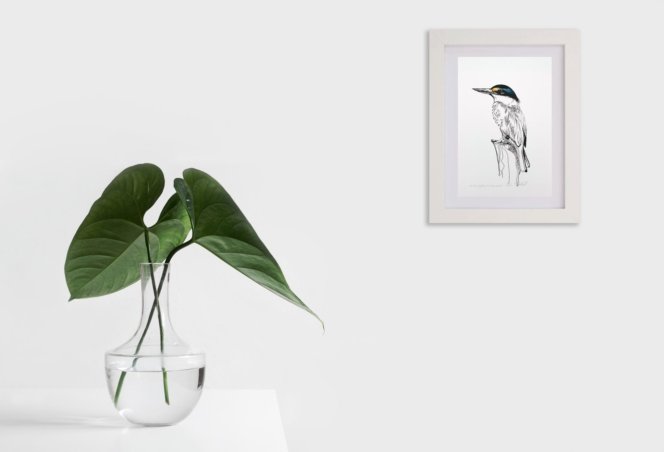 Kotare Kingfisher Small Colour Head Only Room