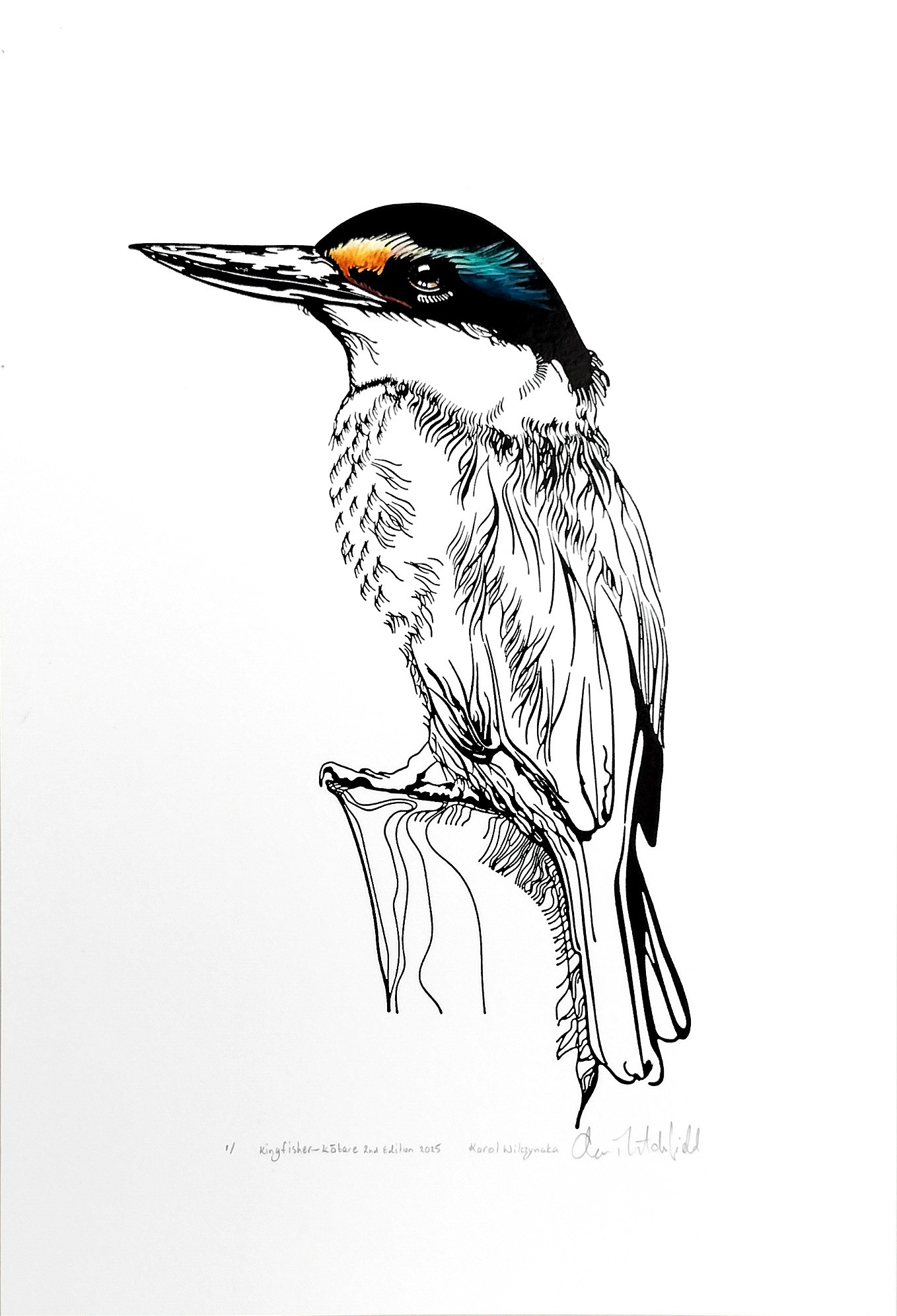 RA_KingfisherLargeCol