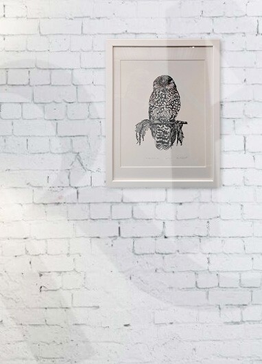 Ruru Morepork Print Colourised Room